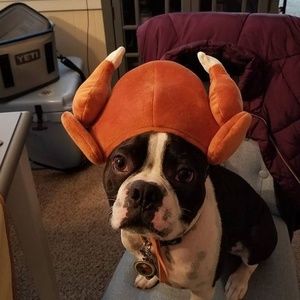 Meet your Posher, Julie